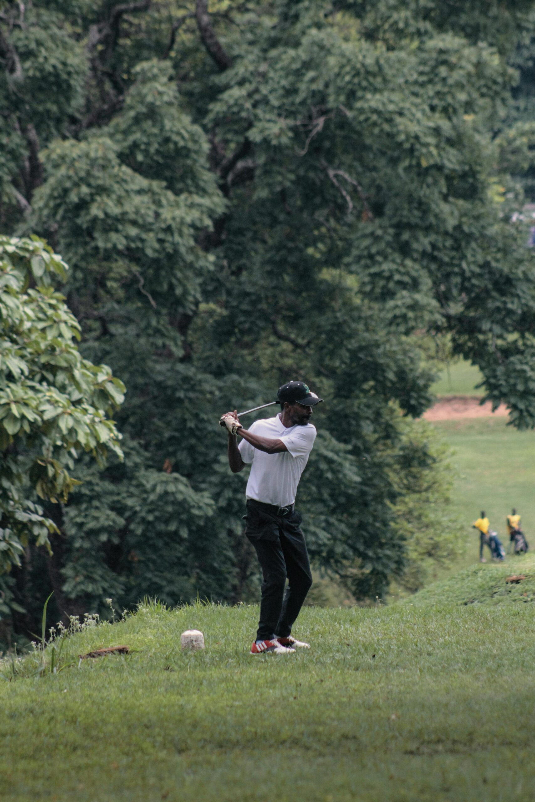 golfing picture